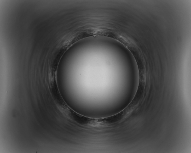 X0000087680607200705041030
