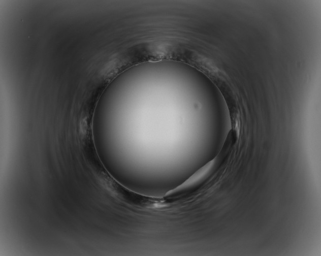 X0000087680611200705041030