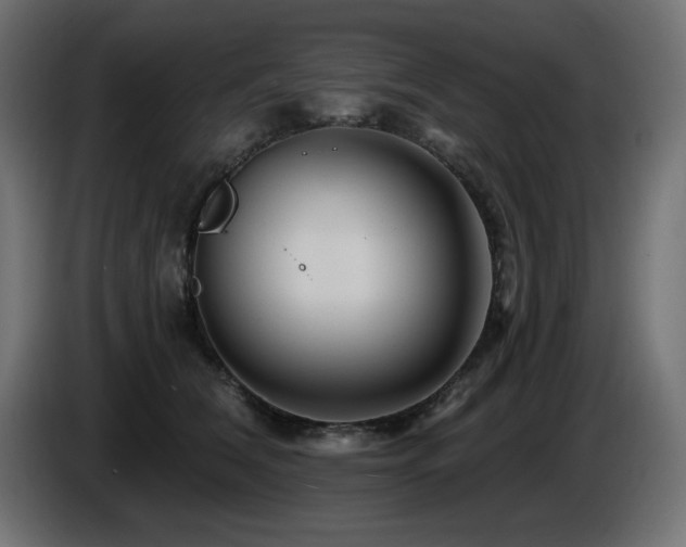 X0000087680612200705041030