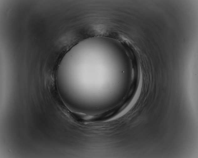 X0000087680613200705041030