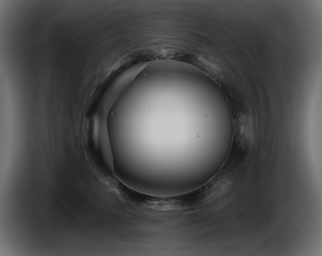X0000087680615200705041030