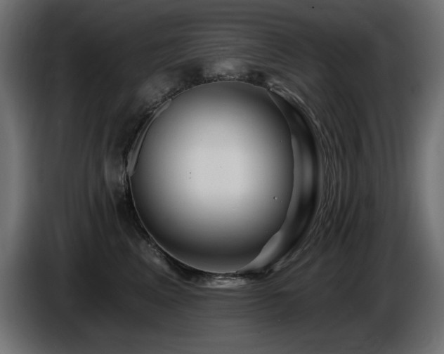 X0000087680617200705041030