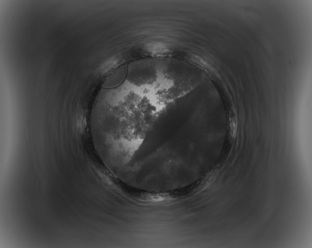 X0000087680618200705041030