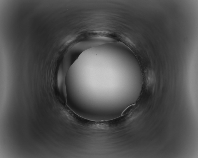 X0000087680619200705041030