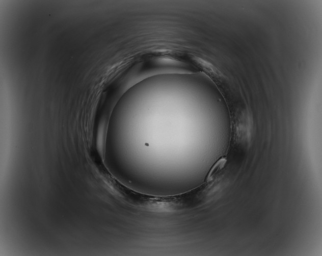 X0000087680620200705041030