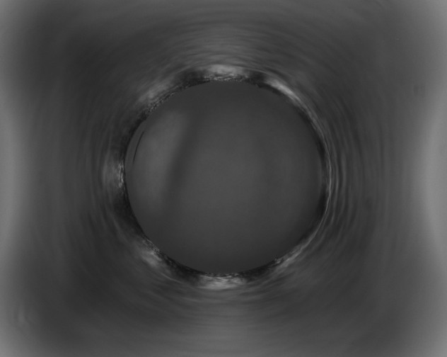 X0000087680621200705041030
