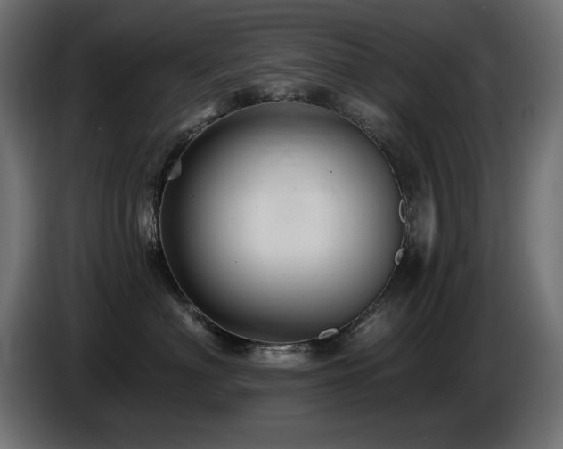 X0000087680622200705041030