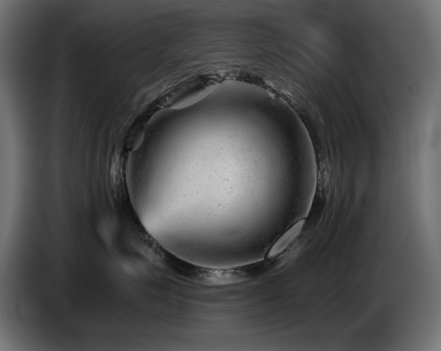 X0000087680623200705041030