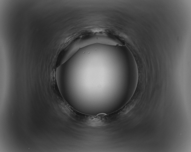 X0000087680624200705041030