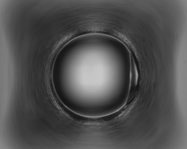 X0000087680625200705041029