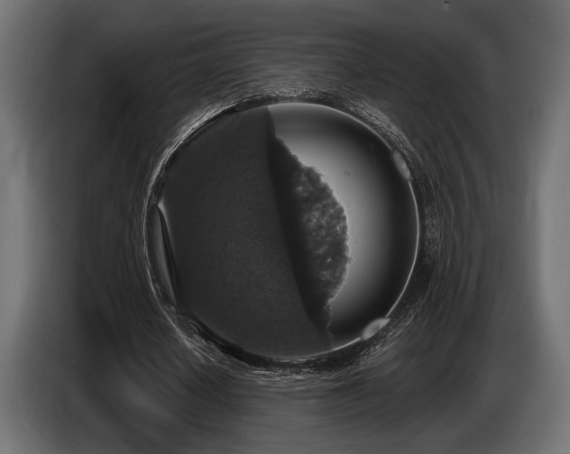 X0000087680626200705041029