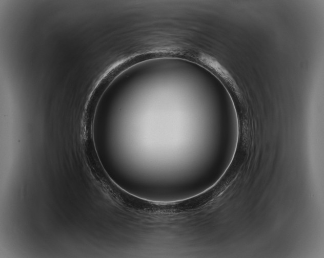 X0000087680628200705041029