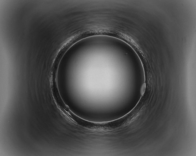 X0000087680629200705041029