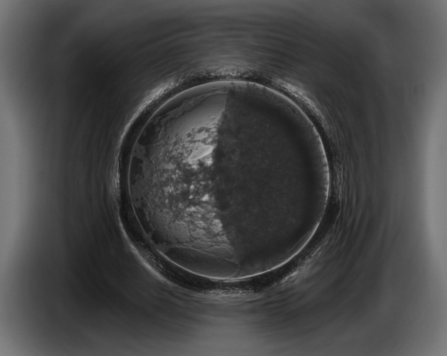 X0000087680630200705041029