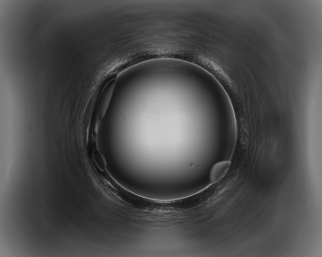 X0000087680631200705041029