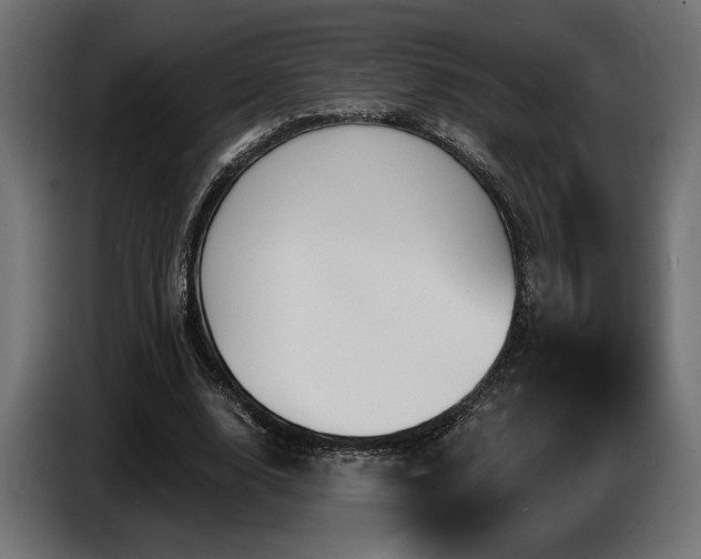 X0000087680632200705041029