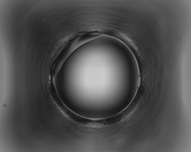 X0000087680633200705041029