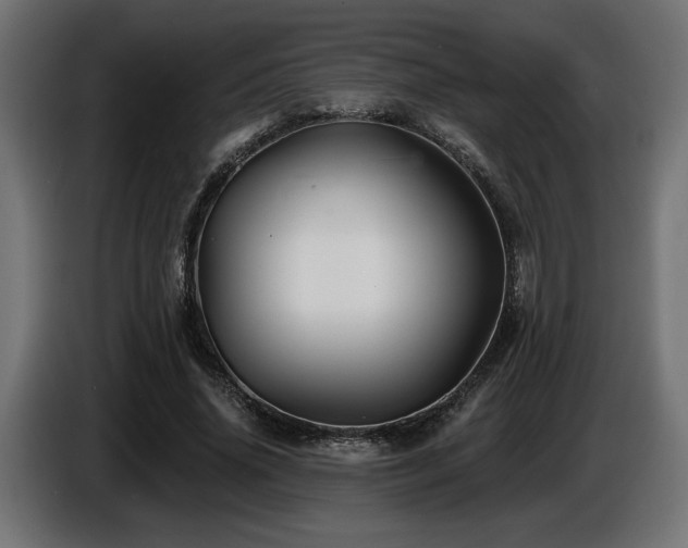 X0000087680636200705041029
