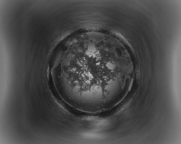 X0000087680637200705041029