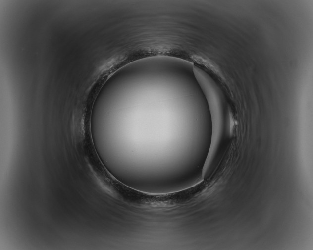 X0000087680638200705041029