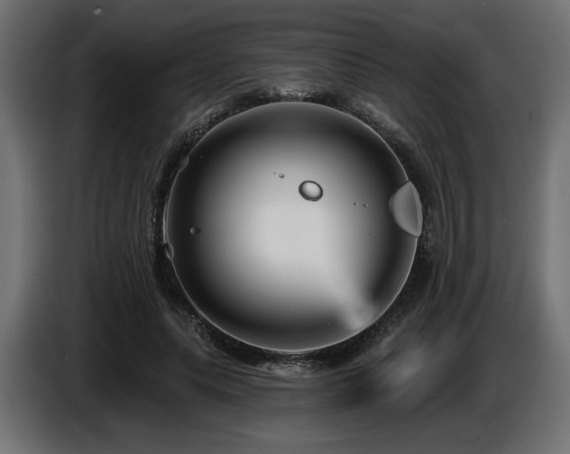 X0000087680639200705041029