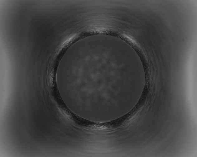X0000087680640200705041029