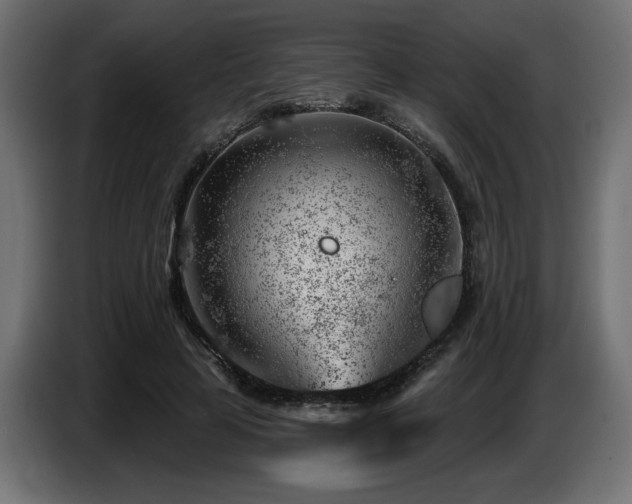 X0000087680641200705041029