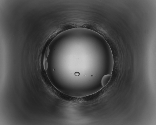 X0000087680642200705041029
