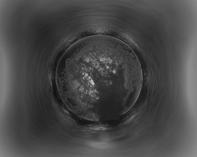 X0000087680643200705041029