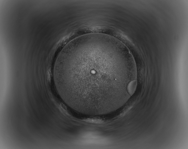 X0000087680644200705041029