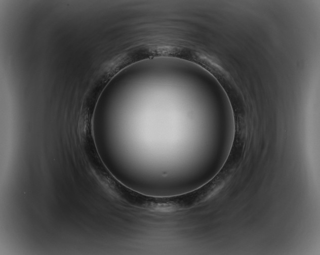 X0000087680645200705041029