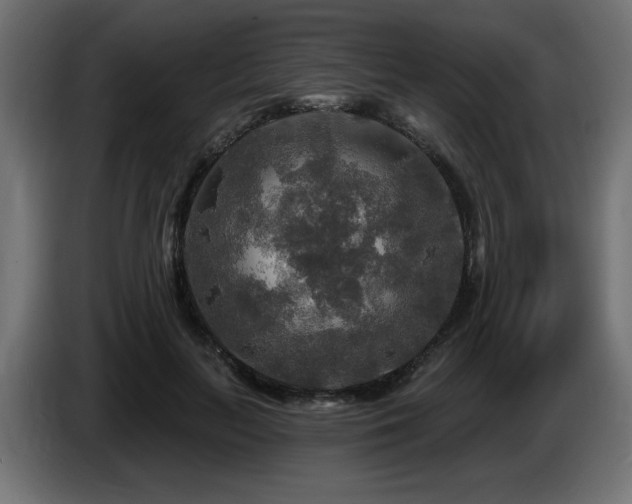 X0000087680647200705041029