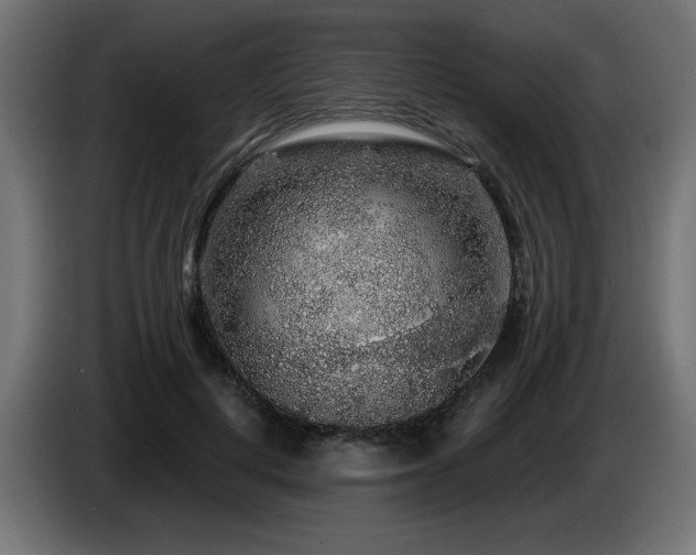 X0000087680648200705041029