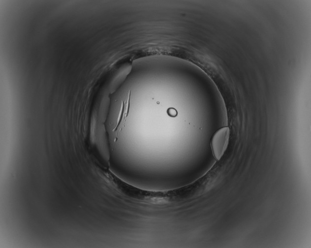 X0000087680649200705041029