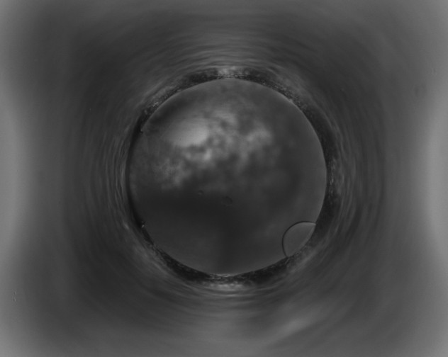 X0000087680650200705041029