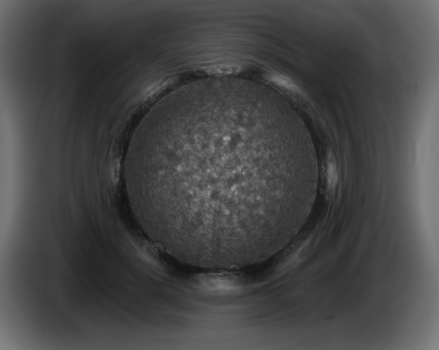 X0000087680652200705041029