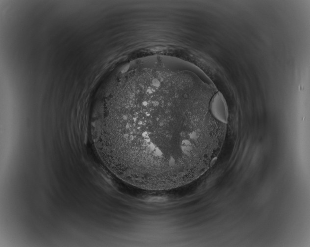 X0000087680653200705041029