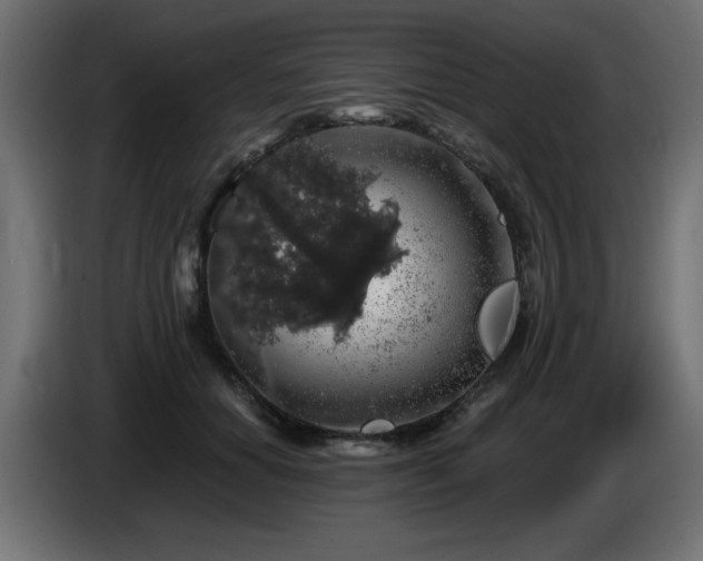 X0000087680654200705041029