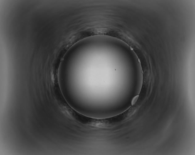 X0000087680655200705041029