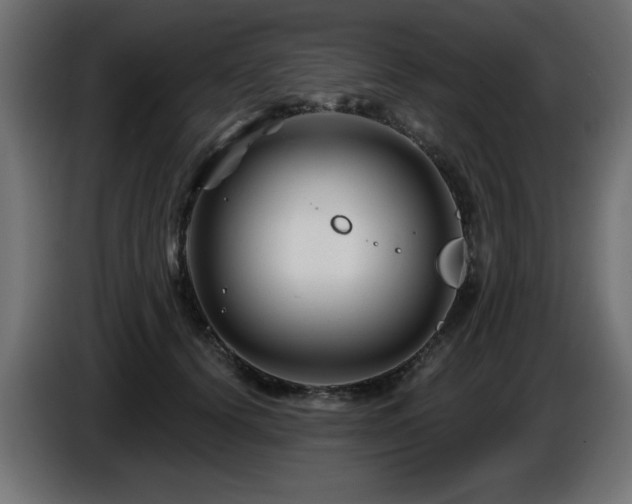 X0000087680656200705041029