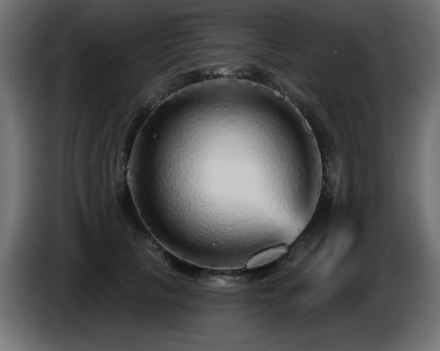 X0000087680657200705041029