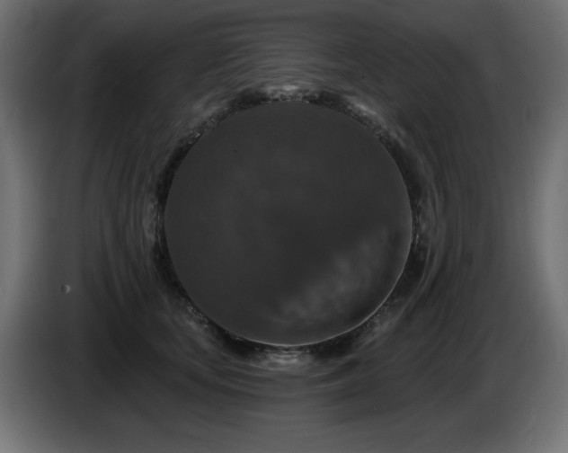 X0000087680659200705041029