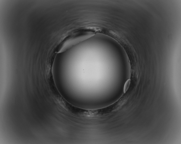X0000087680660200705041029