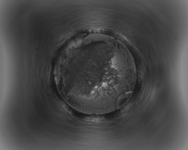 X0000087680661200705041029