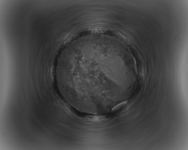X0000087680663200705041029
