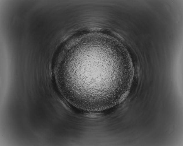 X0000087680664200705041029