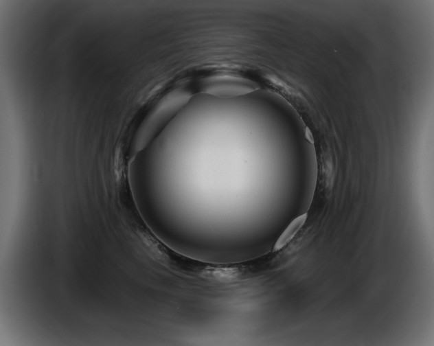 X0000087680665200705041029