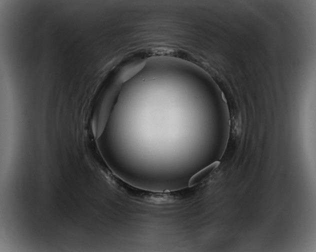 X0000087680666200705041029