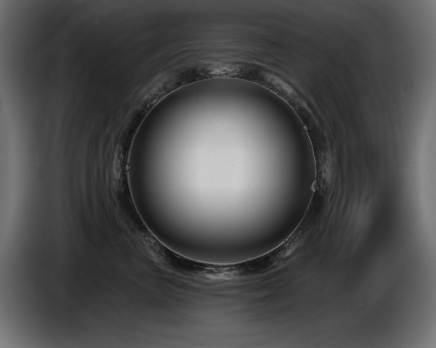 X0000087680667200705041029