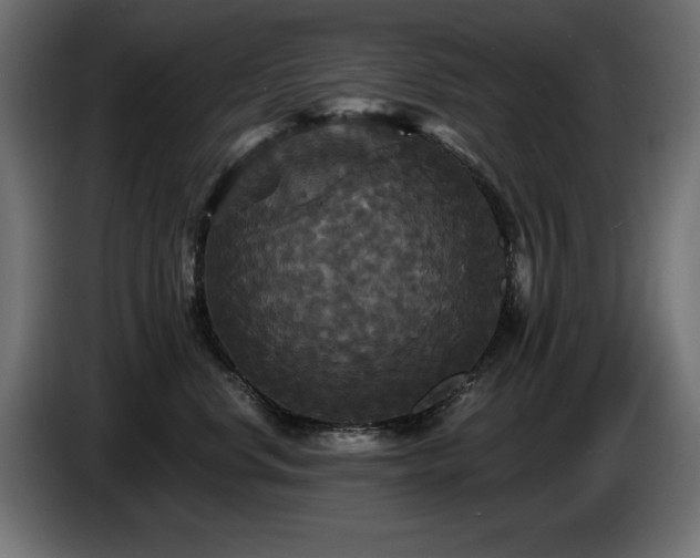 X0000087680668200705041029